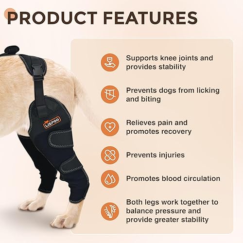 Miniatura 3 de Rodillera de pierna trasera para perro, soporte de pierna trasera ACL para artritis leve, rodillera de perro de luxación rotuliana