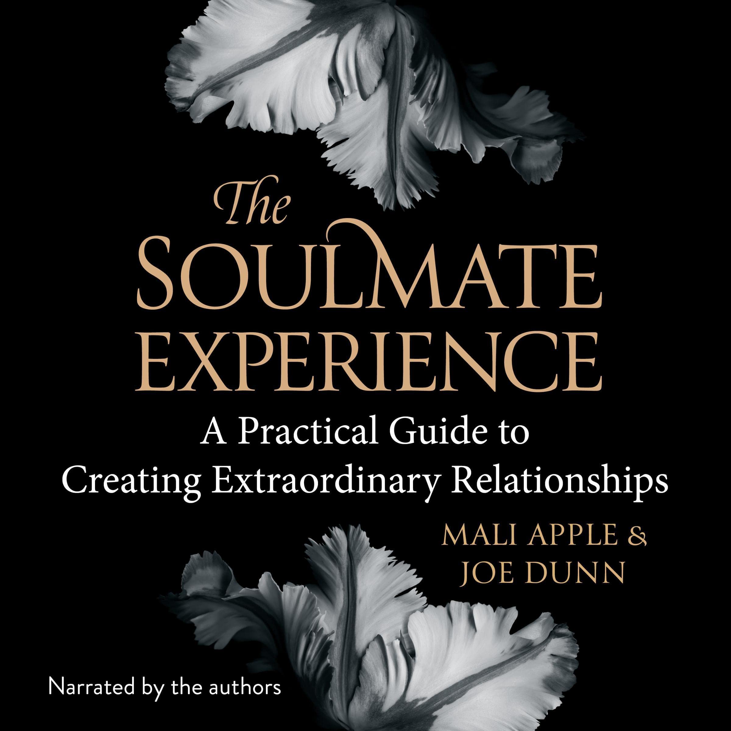 The Soulmate Experience: Practical Guide to Creating Extraordinary Love