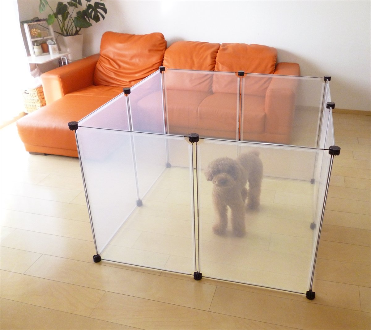 Amazon.co.jp: ユーザー (USER) ペットフェンス 50×70cm(8枚組