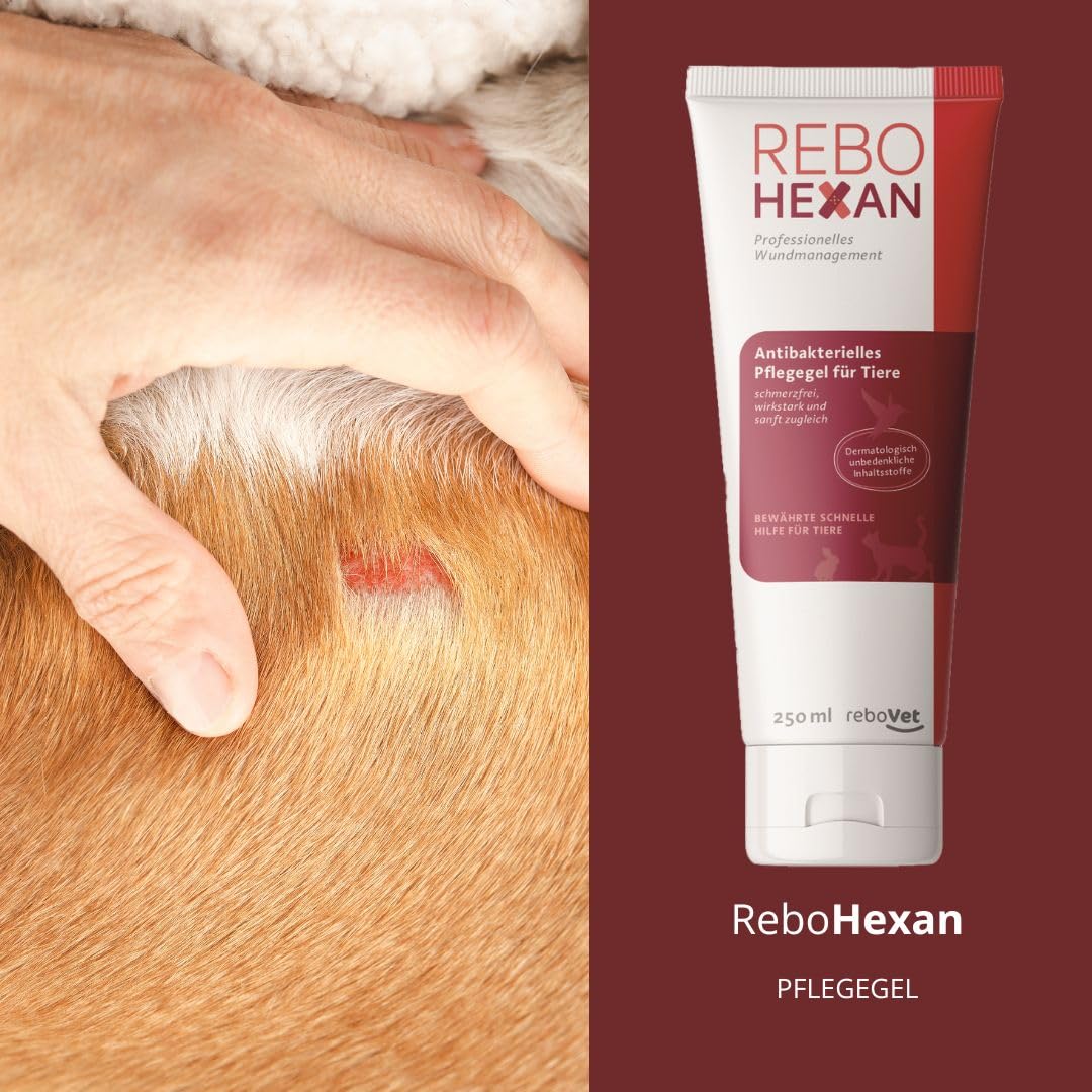 ReboHexan Gel 250 ml: Wundgel, Unterstützung der Wundheilung, Vermeidet Ankleben an Verbänden, Schmerzlose Anwendung, Alkoholfrei