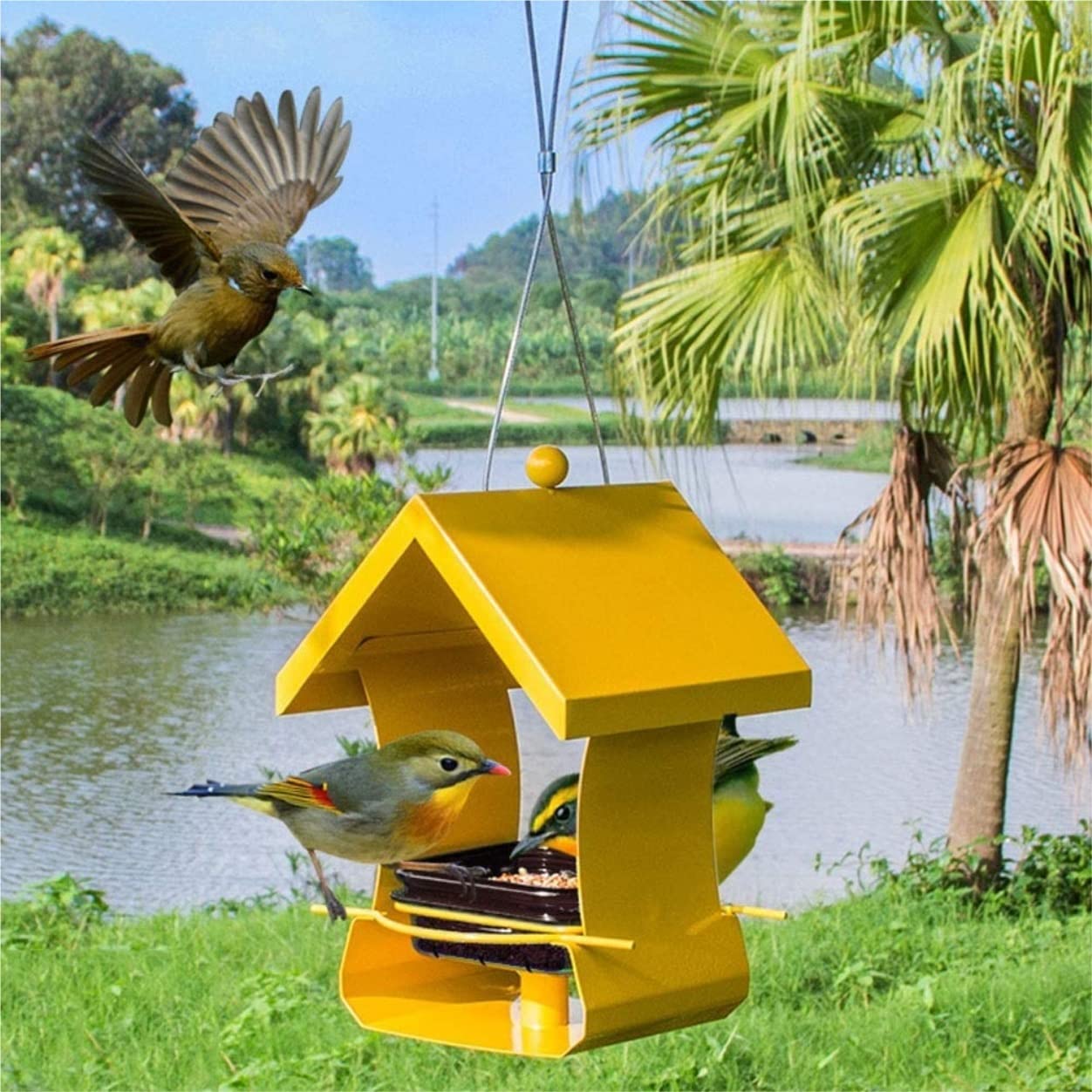 Karmnik dla Ptaków Balkon Karmnik Dla Ptaków Meatl Trwały Wiszący Dzikich Do Karmienia Na Zewnątrz W Ogrodzie Ogrodu Zewnątrz(Yellow)