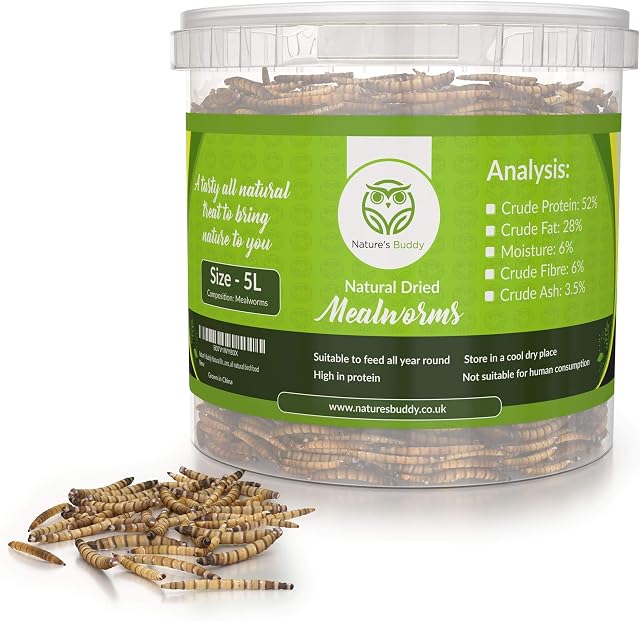 Buddy Wild Natural Dried Mealworms - 5L Tub for Wild Birds - High Protein, All Seasons, All Natural Bird Food