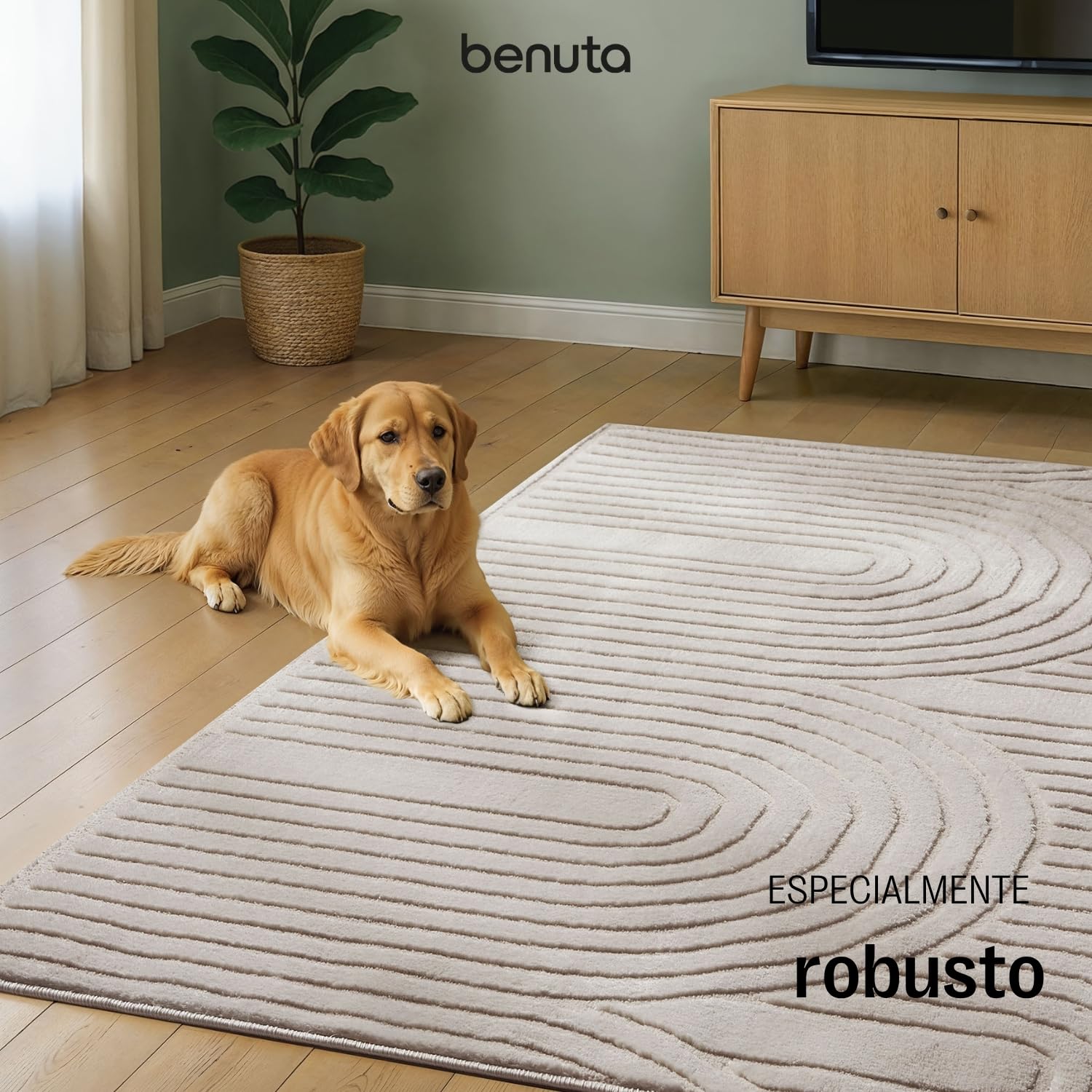 benuta Basic Alfombra Salon Claire - Crema 160x230 cm - Minimalista para Dormitorio, Sala de Estar en Estilo Retro geométrico - Fácil de Limpiar - Apta para Suelos radiantes
