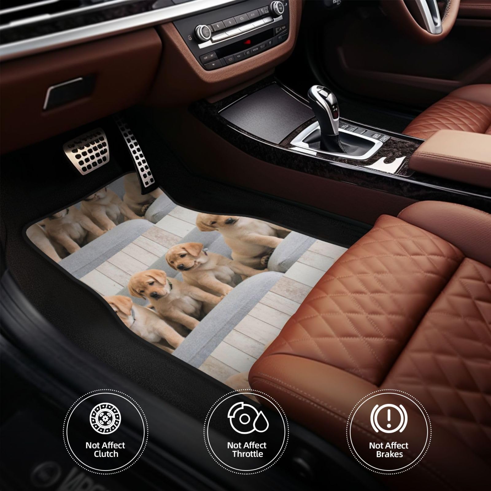 Golden Retriever Welpen Labrador Hunde, 4er-Set Auto-Fußmatten, Neopren-Fußmatten für Fahrzeuge, rutschfeste Auto-Fußmatten, Autozubehör