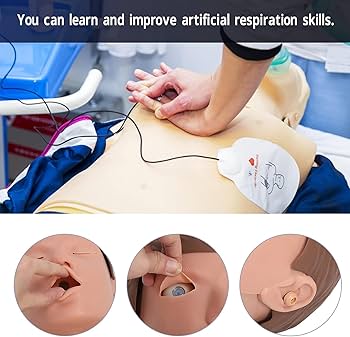 ダ*ン様 Fiegcit 心肺蘇生トレーニングモデル蘇生マネキン Cpr Amazon.co.jp: Fiegcit 心肺蘇生トレーニングモデル蘇生マネキン