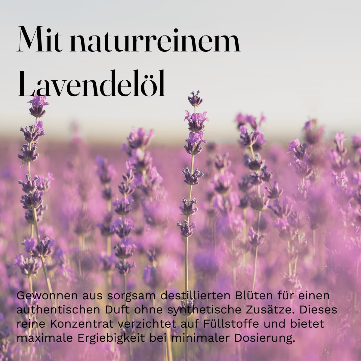 NaturGut Wäsche Fresh Provence Lavendel Wäscheduft 3er Set Sparpaket