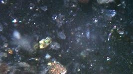 Review Image by AmazonGrace AmazonGrace