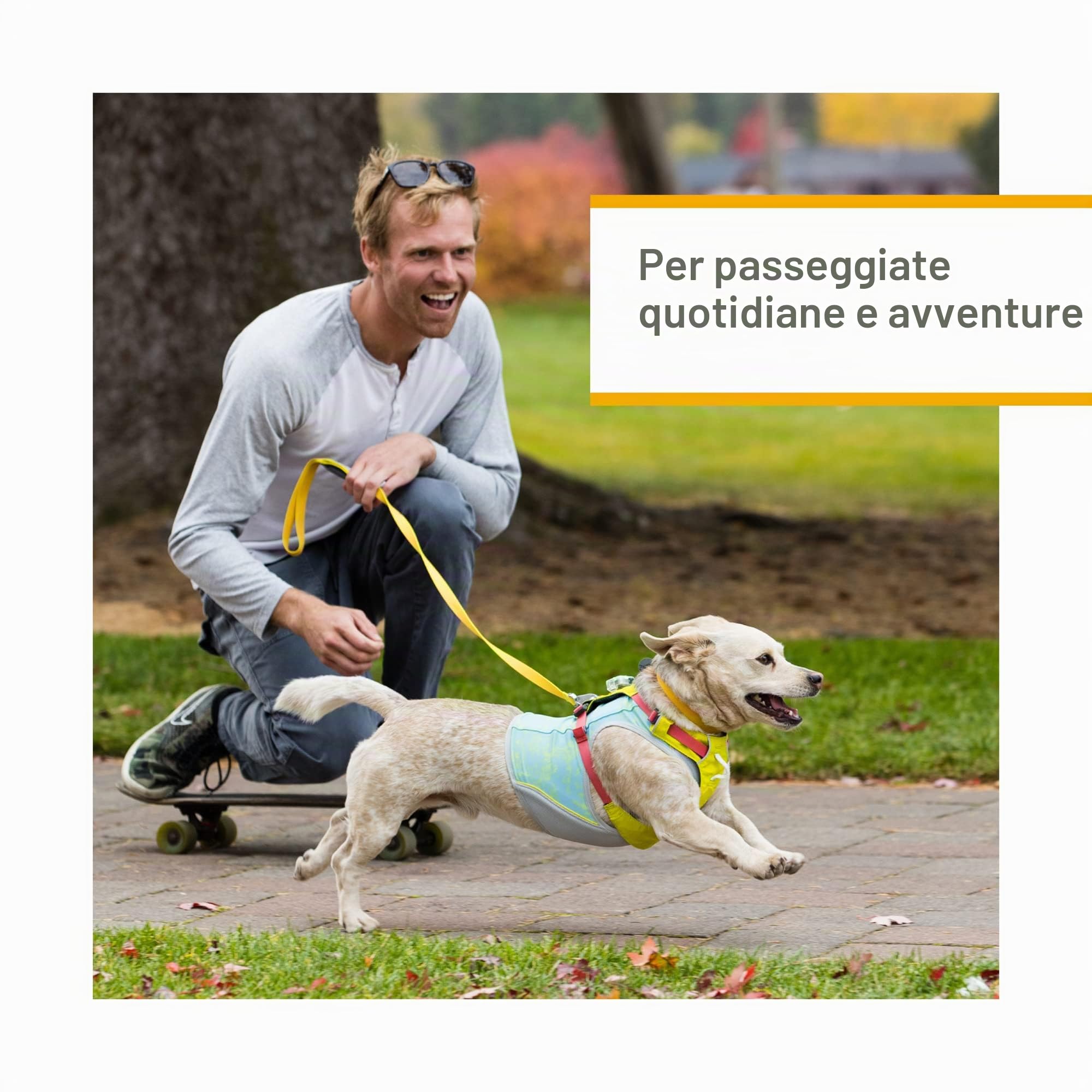 RUFFWEAR Pettorina per cani Hi & Light, ultra leggera a basso profilo Adventure Walking Gear, completamente regolabile, verde salvia (L/XL, 81-107 cm)