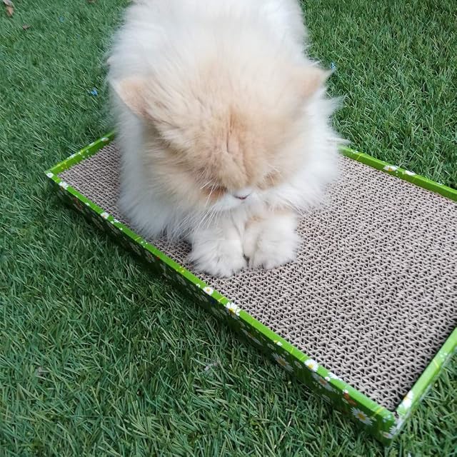 Foto 6 de 7 de Croci - Árbol de Gato de cartón, 2 Capas Reversibles, con Patas Antideslizantes, incluida Bolsa de Hierba…