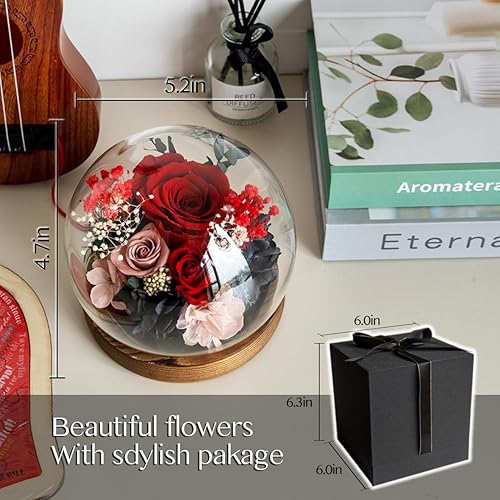 Miniatura 2 de EIGHTOWN Flor preservada de rosas rojas en cúpula de cristal, regalo de rosa real para ella, regalo para siempre para el día de San Valentín, día de