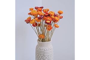 Dried Orange Flowers: Enhance Your Home Decor with Nature's Hues