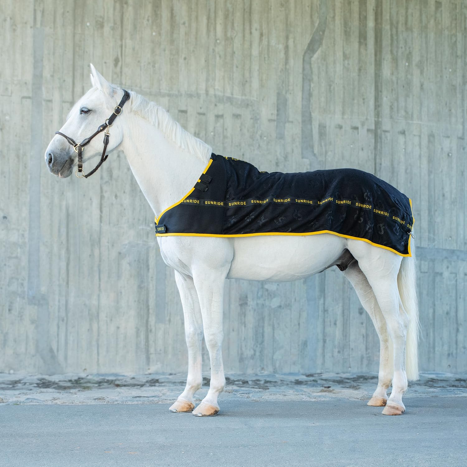 SUNRIDE Fleece Unterdecke (Inlett) für Pferde - Hook&Hold System - mit Abschwitzfunktion - wärmt Rücken- und Nierenbereich - Anti-Pilling Fleece - maschinenwaschbar - atmungsaktiv (165)