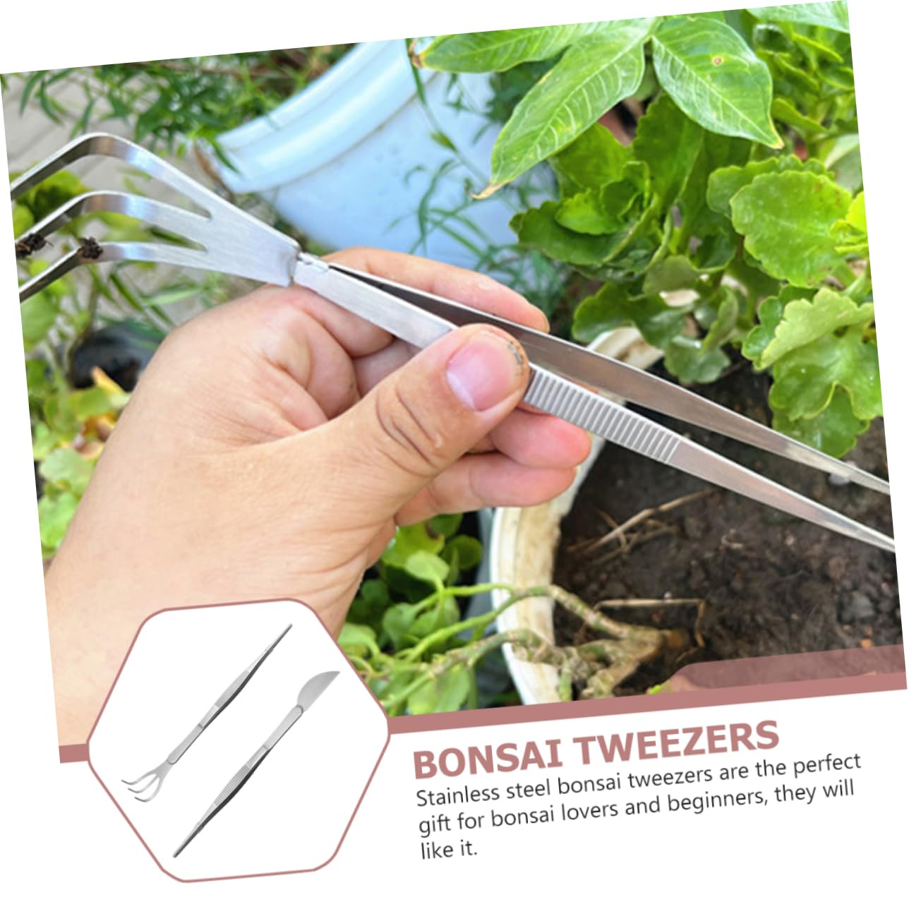 Happyyami 10piezas De Jardinería De Acero Inoxidable Herramientas Multifuncionales Para Bonsái y Suculentas Incluye Pinza Recta y Curvada Para Cultivos Detallados y Mantenimiento De
