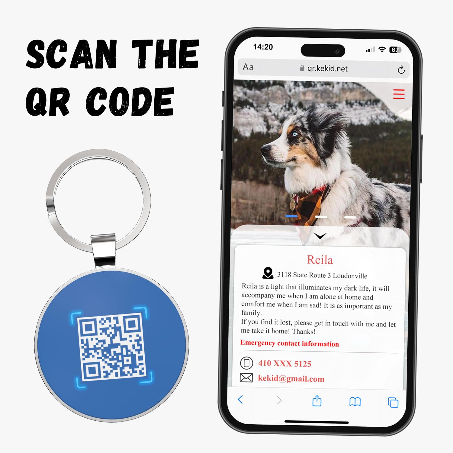 Nieśmiertelnik z kodem QR, etykiety dla psów spersonalizowane dla zwierząt domowych, spersonalizowane etykiety identyfikacyjne dla psów i kotów - bezpłatna strona dla zwierząt domowych zapobiega zgubieniu / modyfikacji