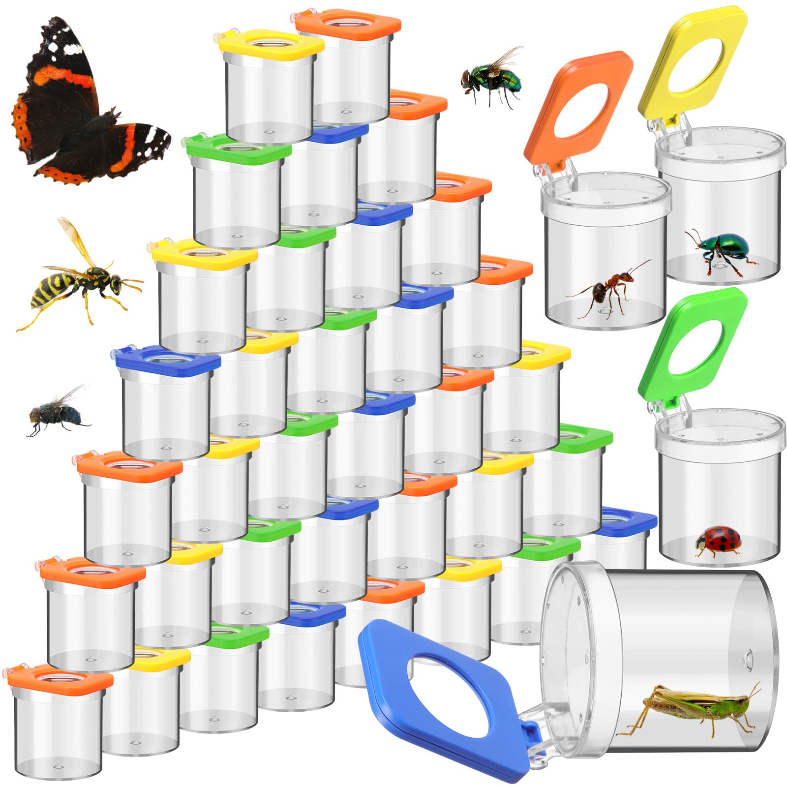 Halloscume 48 Pcs Insect Bug Viewer for Kids Magnifying Insect Box Bug Catcher Magnifier Container Critter Collection Kit Insect Cage Jar for Children