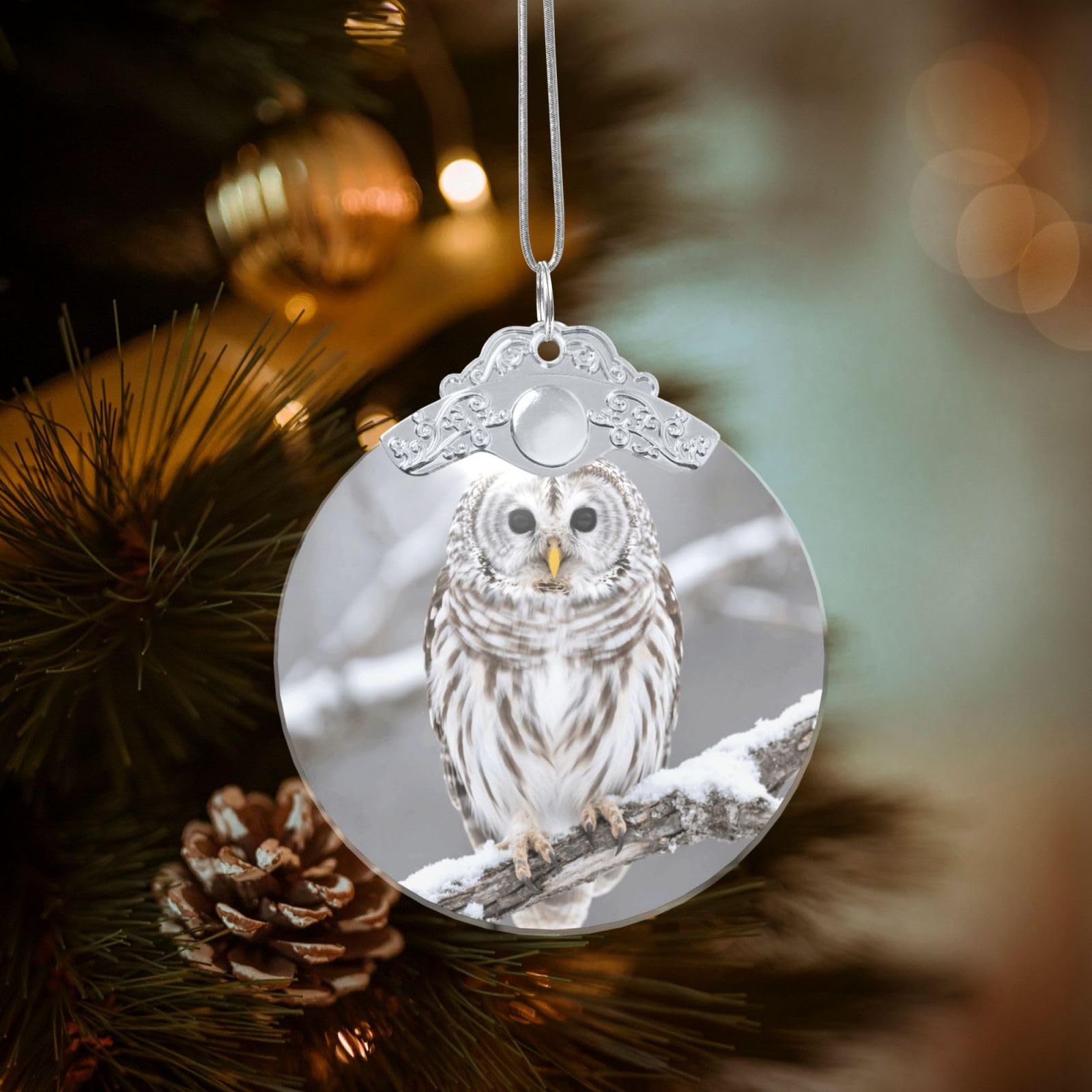 2025 Christmas Tree Ornament Round Glass Xmas Hanging Pendant for Xmas Tree Decoration,Curious Barred Owl Closeup Cute Holiday Hanging Decorations Keepsake for New Year Family Party Wedding Decor