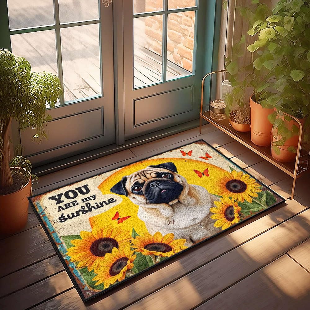 Paillasson extérieur You Are My Sunshine contre la boue 50x80