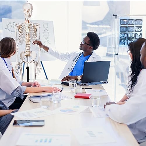 Miniatura 9 de Breesky - Modelo de esqueleto humano para anatomía, modelo de esqueleto humano médico de tamaño real con sistema nervioso de 70.8 pulgadas