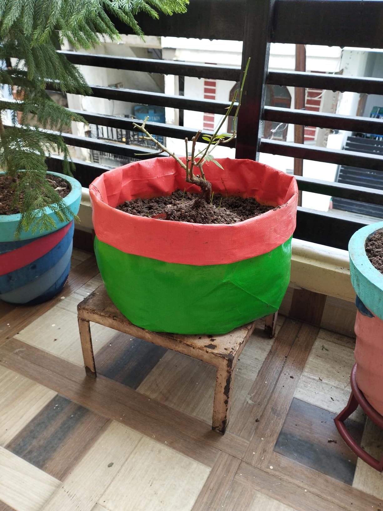 YUVAGREEN Premium Grow Bags for Terrace Gardening Vegetables & Flowers