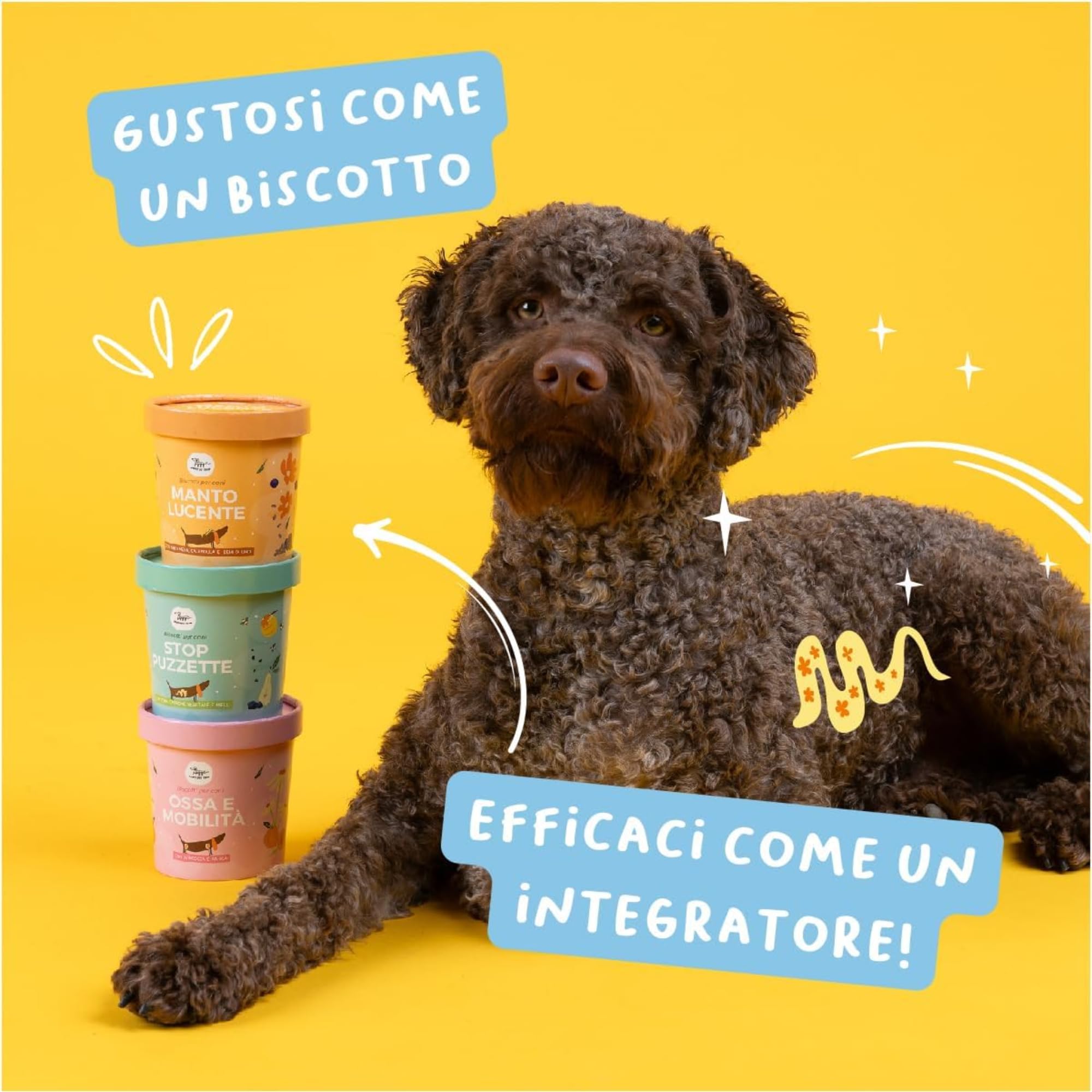 Hygge Dog Hundekekse für Hunde gegen Dermatitis | Reich an schwarzen Johannisbeeren für ein strahlendes und gesundes Fell | Funktioneller Hundesnack Geschmack Johannisbeere | 6 x 600g | italienisches