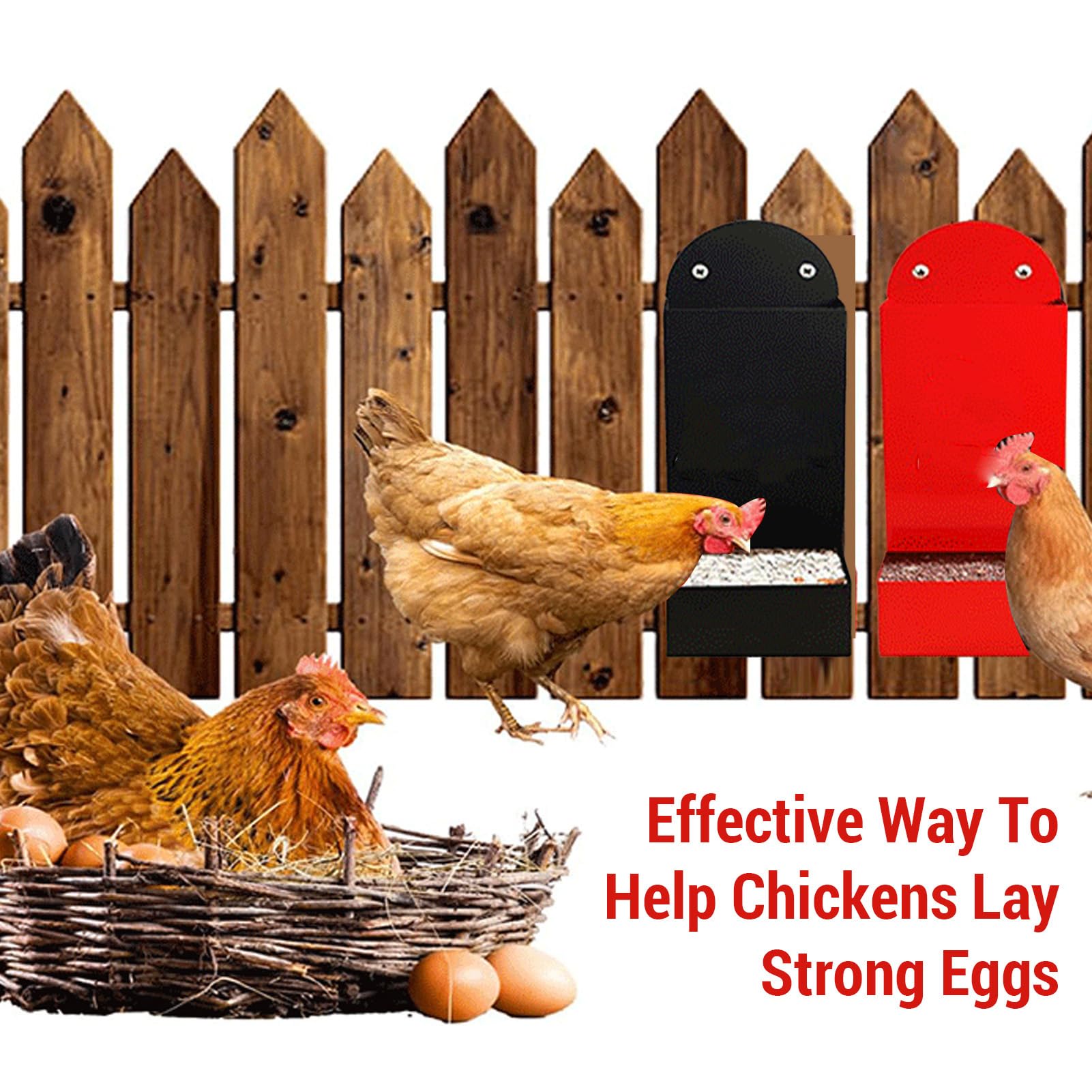 Set mangiatoia per polli Hapvida, Contenitore per pollame in Acciaio al Carbonio per Accessori per pollaio, Guscio di ostriche e mangiatoia per Galline