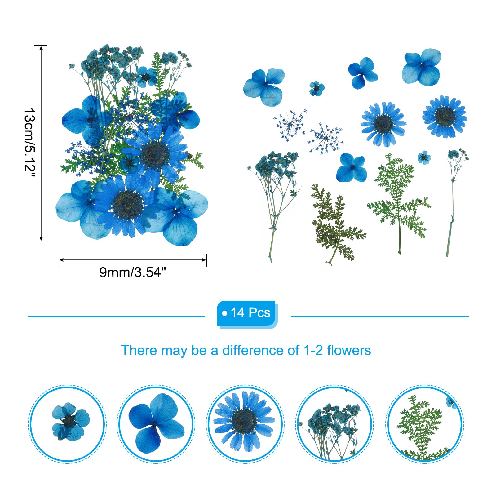PATIKIL Dried Pressed Flowers - Image 2