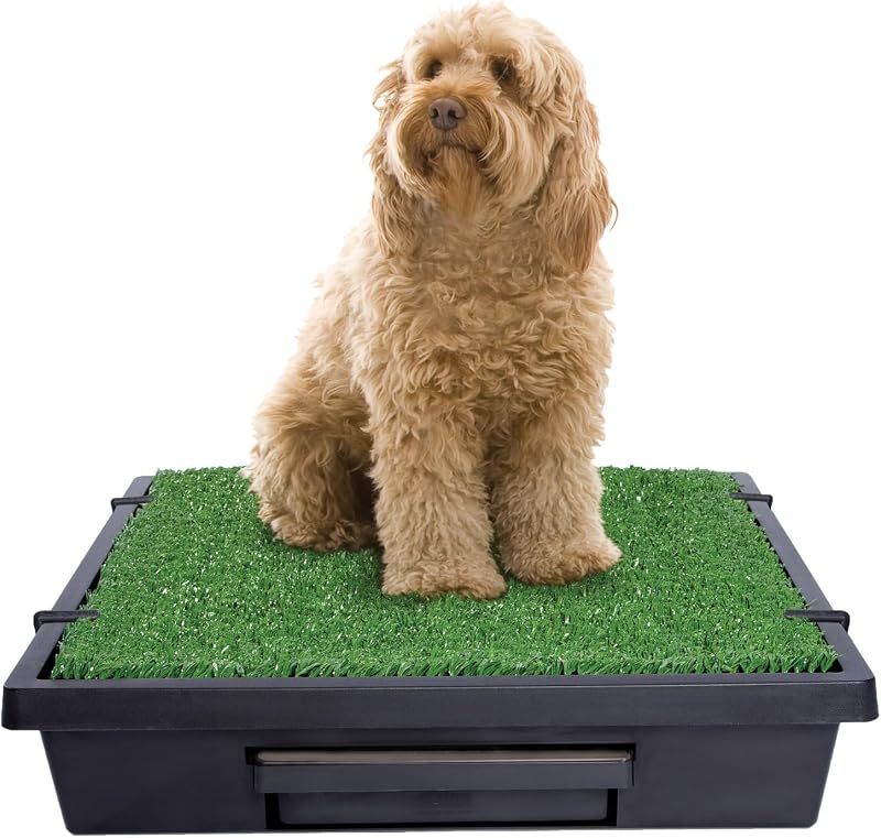 Caixa de Areia Sanitária Portátil para Cães PetSafe Pet Loo com Tapete de Grama Sintética, Tamanho Médio