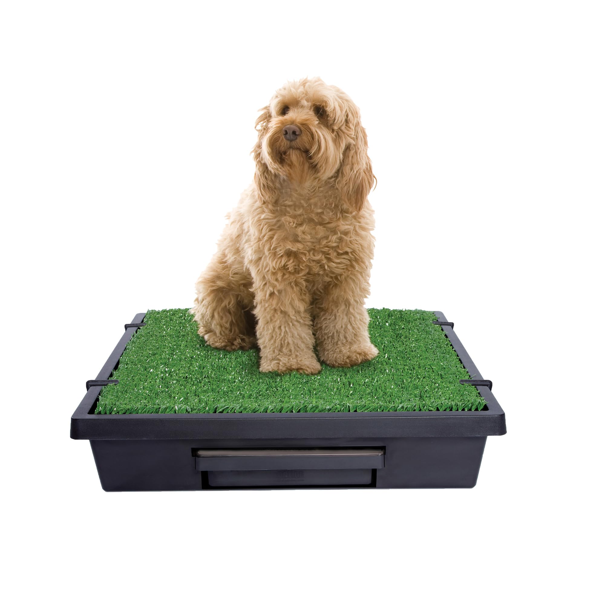 Pet Loo Portable Dog Potty - Pet Toilet Alternative for Puppy Pads - Medium - Perfect for House Training - Easy-to-Clean Grass Mat