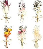 6pcs Natural Mini Dried Flower Bouquets Gypsophila Set with Stickers & Hemp Rope - DIY Crafts, Table Centerpieces, Gifts