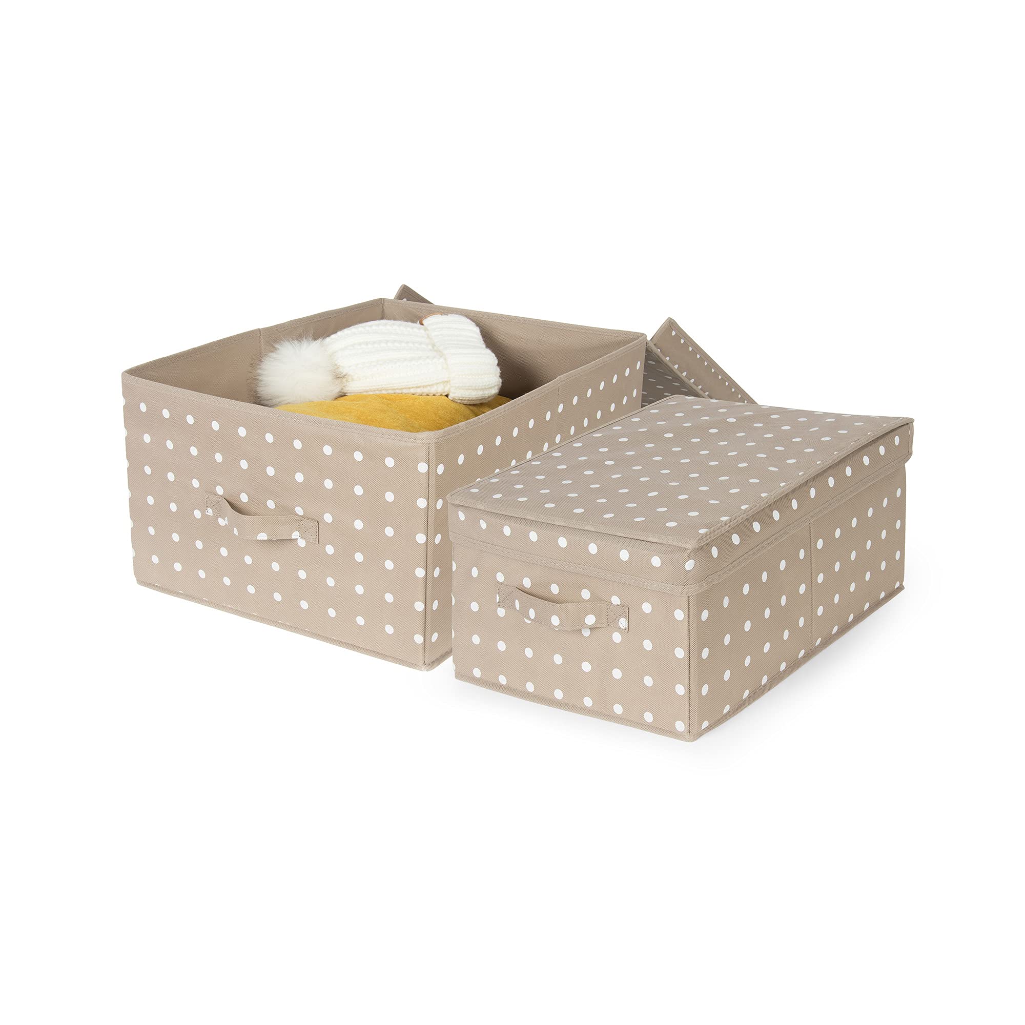 Compactor - Set Di 2 Scatole Pieghevoli Con Coperchio, Polipropilene Non Tessuto e Cartone, Large 40 x 50 x 25 cm, Small 30 x 43 x 19 cm, Gamma Rivoli, Marrone/Bianco, 10444