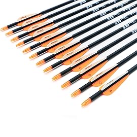 TIGER ARCHERY 30Inch Carbon Arrow Practice Hunting Arrows with Removable Tips for Compound & Recurve Bow(Pack of 12) (Orange White)
