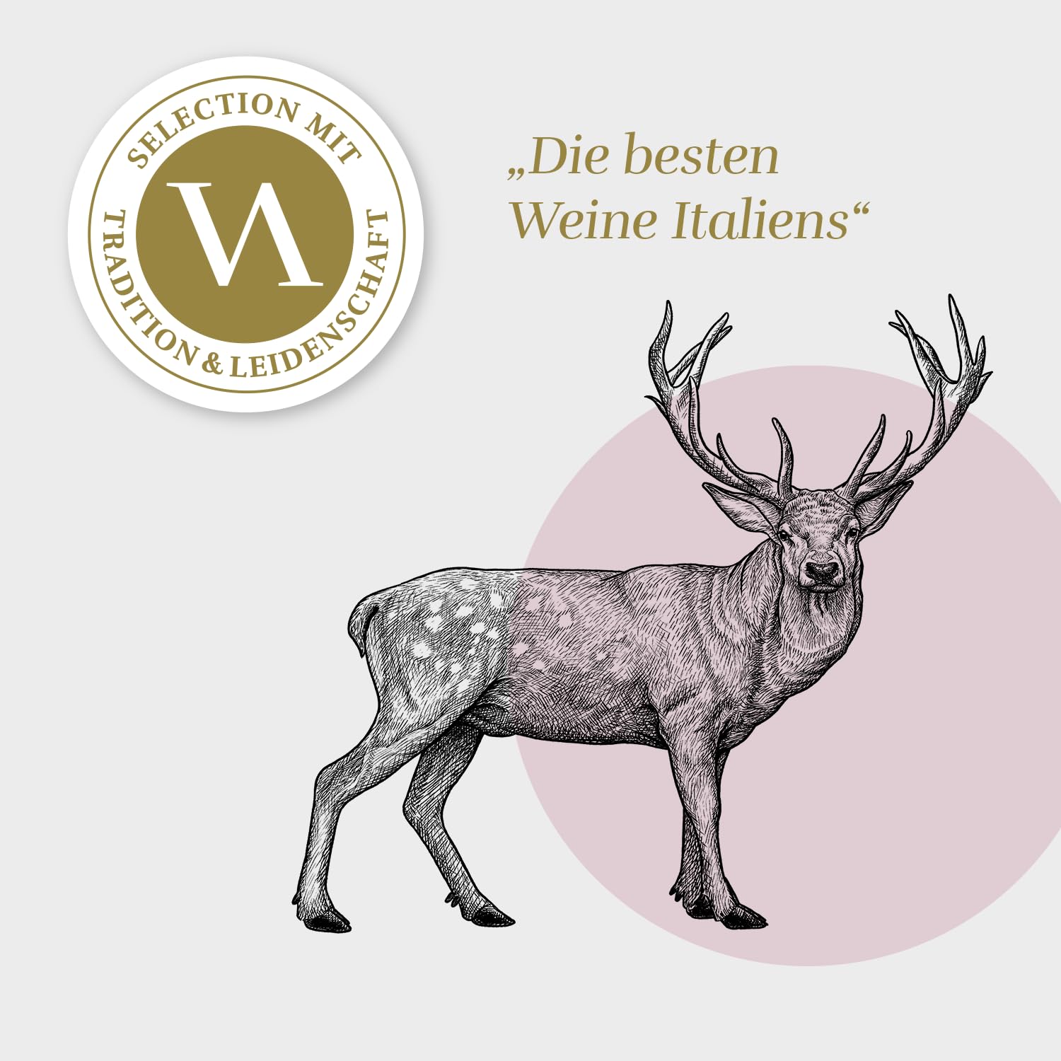 Custoza DOC 2024 Weißwein – Vini di Paolo (6 x 0,75 l) | Italienischer Qualitätswein aus Venetien | Cuvée aus Garganega, Trebbiano & Cortese | Frisch, fruchtig & floral | Ideal zu Fisch & Antipasti