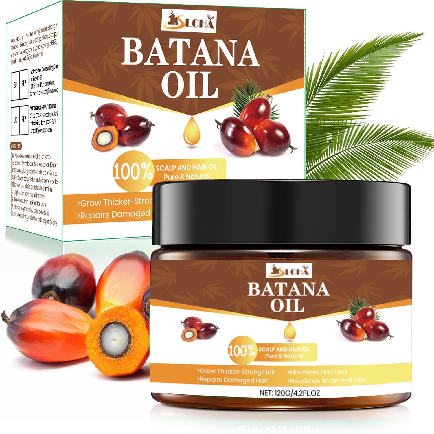 Ruwe Batana Olie voor Haargroei – Dr. Sebi 100% Natuurlijke Ongeraffineerde Olie Uit Honduras voor Behandeling van Haaruitval, Hoofdverzorging en Eliminatie van Gespleten Punten