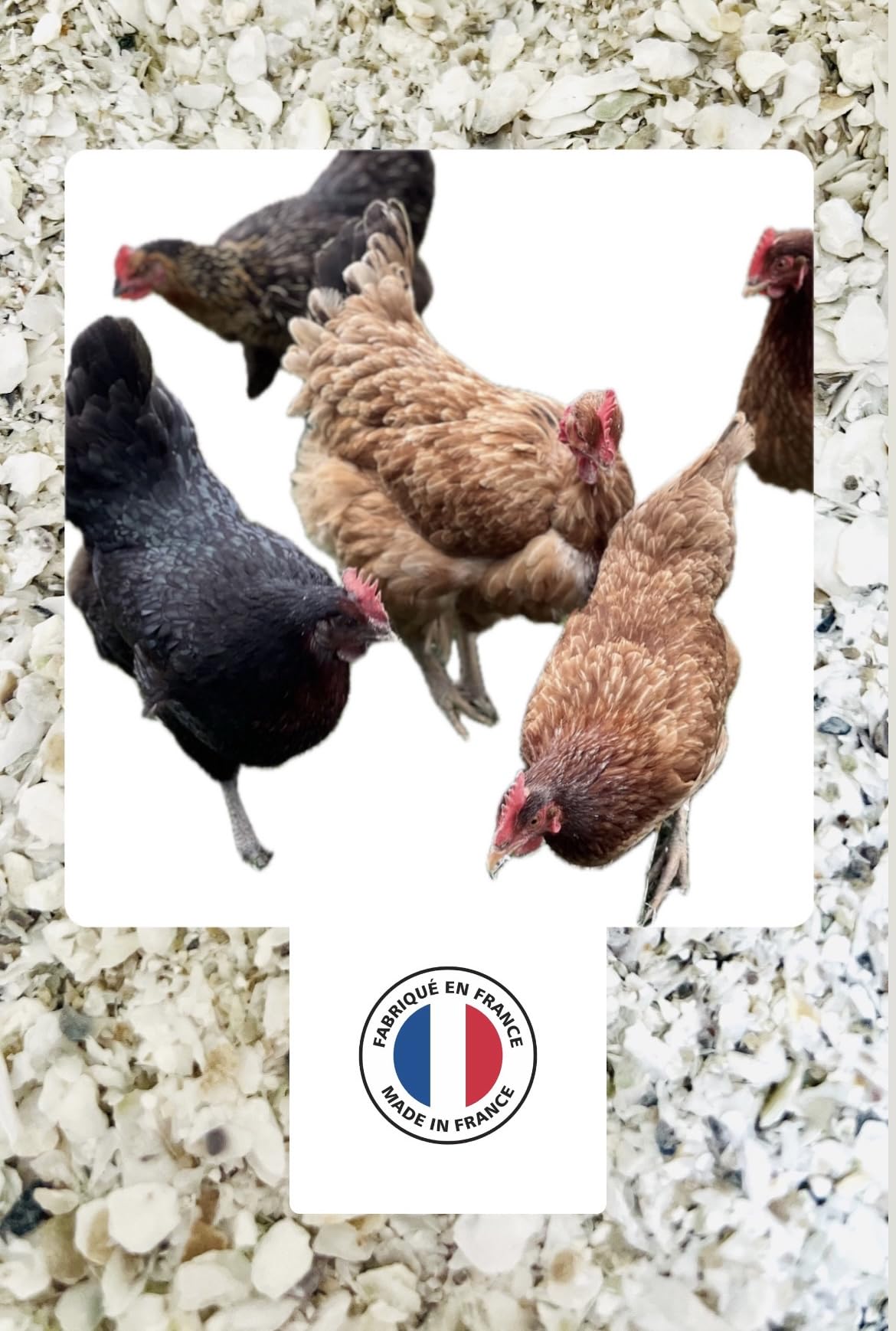 900 g di gusci di ostriche francesi naturali, igienizzate, calibrate e macinate per pollame - Alto contenuto di calcio: da 36 a 38% e oligoelementi (900 g)