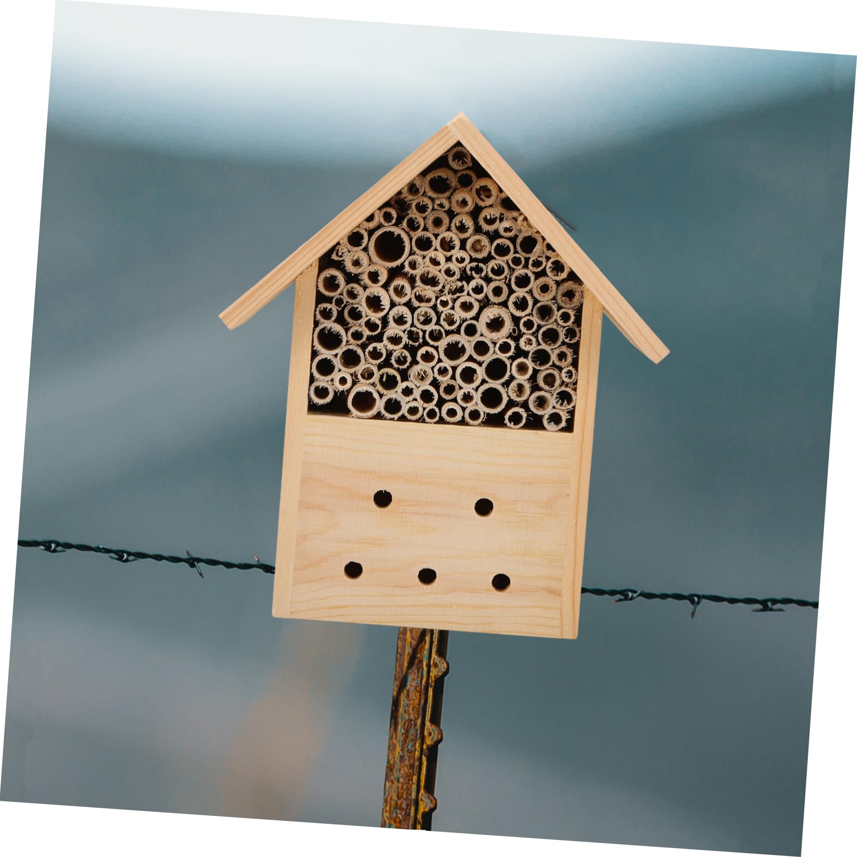 Hängendes Holzbienenhaus für Garten, Holz Außenbereich | Beobachtung von Bienenbestäubern, für Kinder Lehrreich, Individuell Bemalbar, Dekoratives Nest