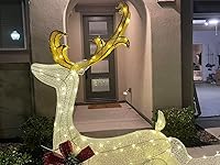 Review Image by Ellen Ellen