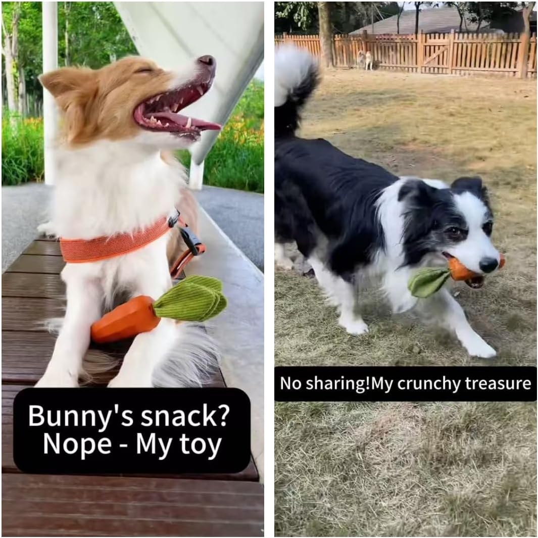Unleash the Fun: MewaJump Squeaky Chew Toys for Tough Puppies!