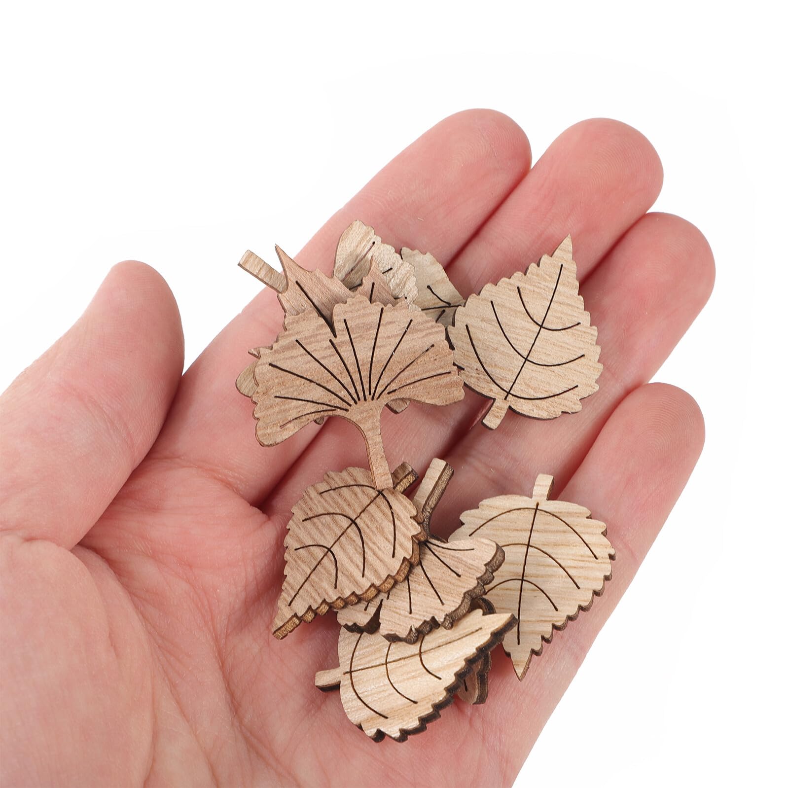 Holzausschnitte Erntedankfest 50 Stück Vintage Holz Beige Scrapbooking