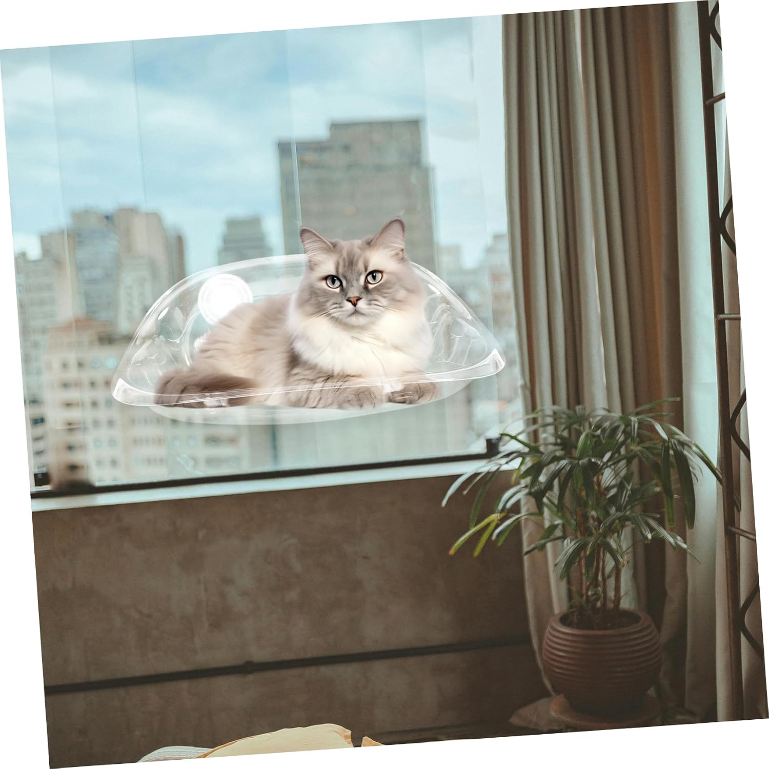 Suction Cup Cat Window Perch Cozy Cat Hammock for Sleeping Resting Space Saving Design for Cats Durable Secure Suction Cup Installation for Window