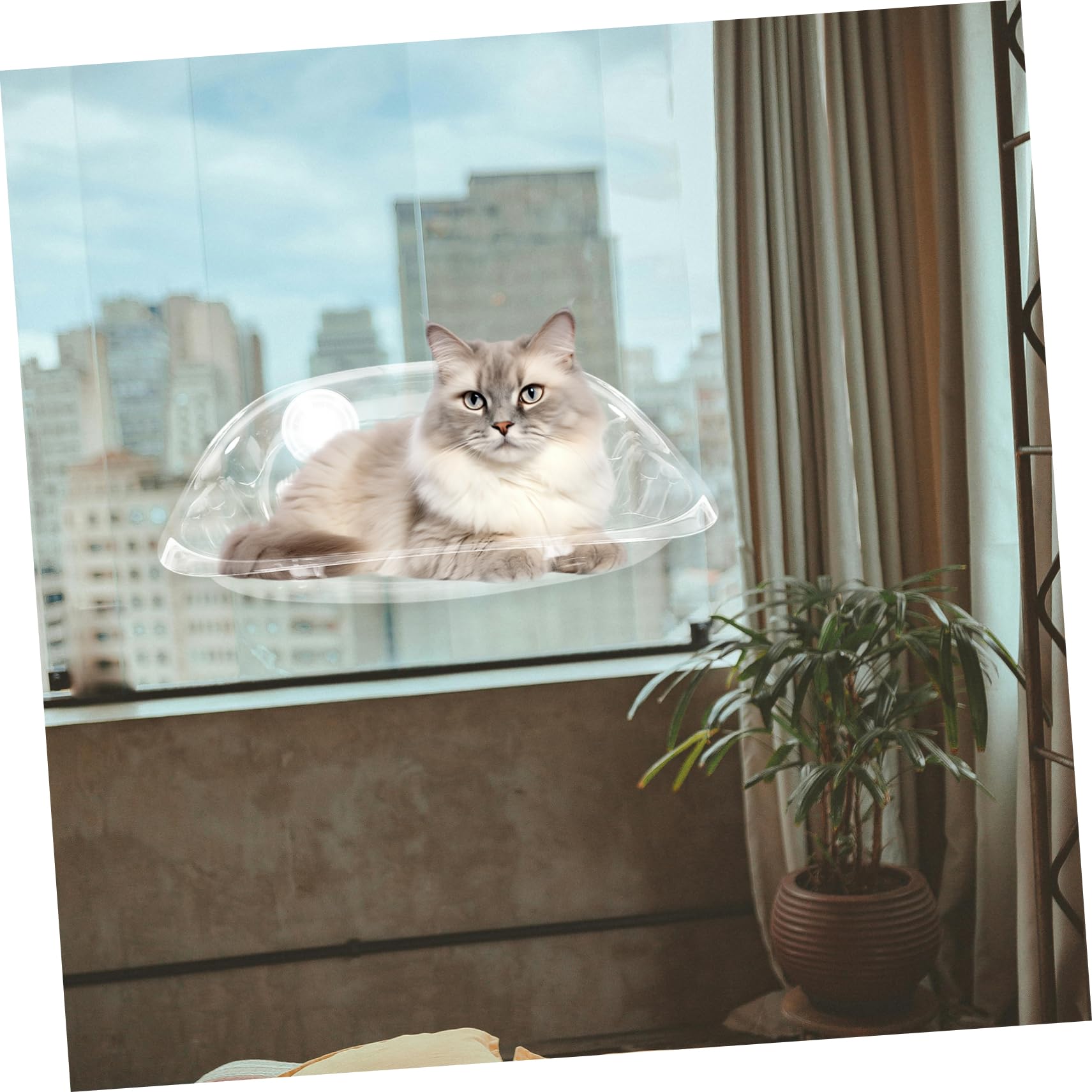 SOIMISS Katzenhängematte mit Saugnapf für Fenster Stabiles Hängebett aus As Material Platzsparend und Sicherer Schlafplatz für Katzen im Zimmer oder Am Fenster