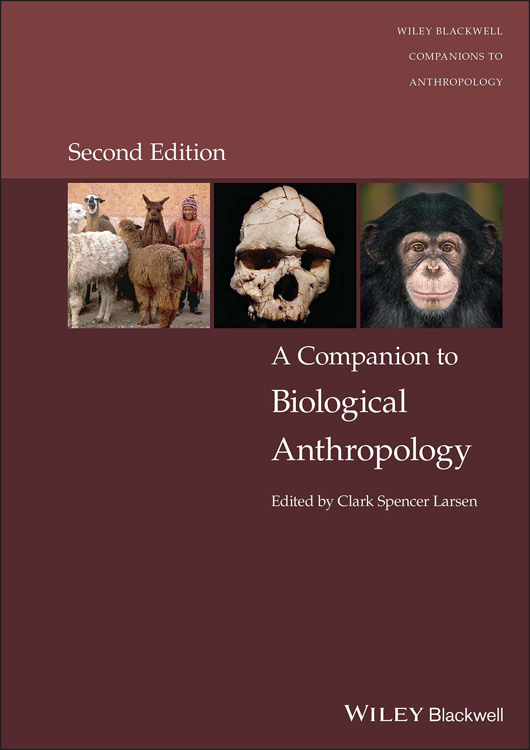 A Companion to Biological Anthropology by Clark Spencer Larsen - 9781119828044