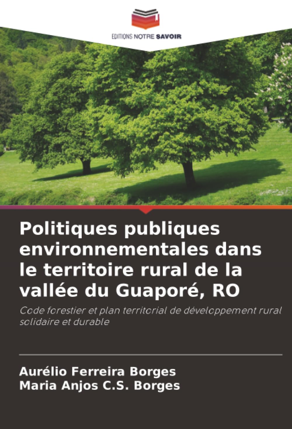 Politiques publiques environnementales dans le territoire rural de la vallée du Guaporé, RO: Code forestier et plan territorial de développement rural solidaire et durable