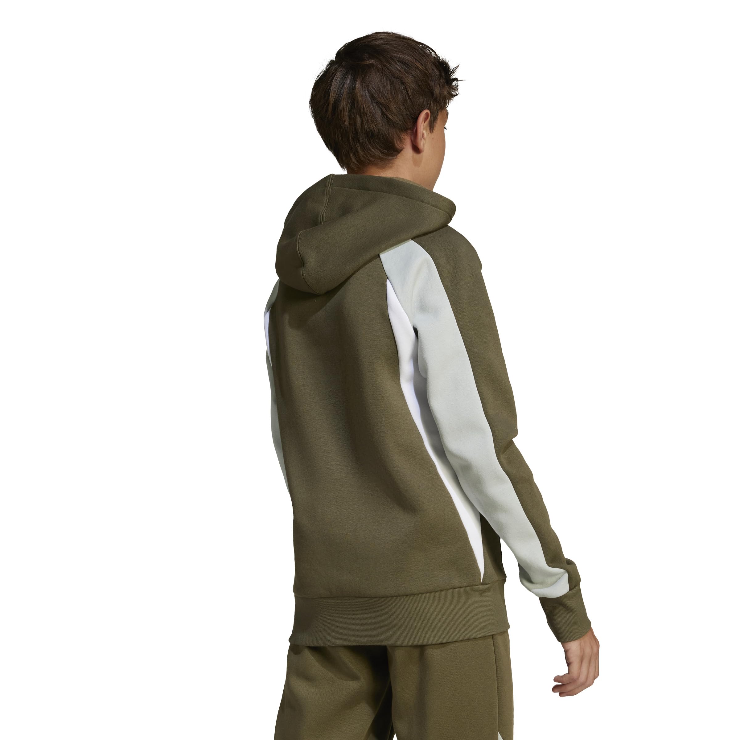 Adidas Seasonal Essentials Colorblock Fleece Hoodie Sudadera con Capucha Unisex niños (Pack de 1)