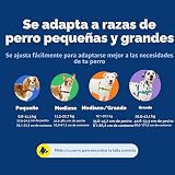 Ver la foto 8