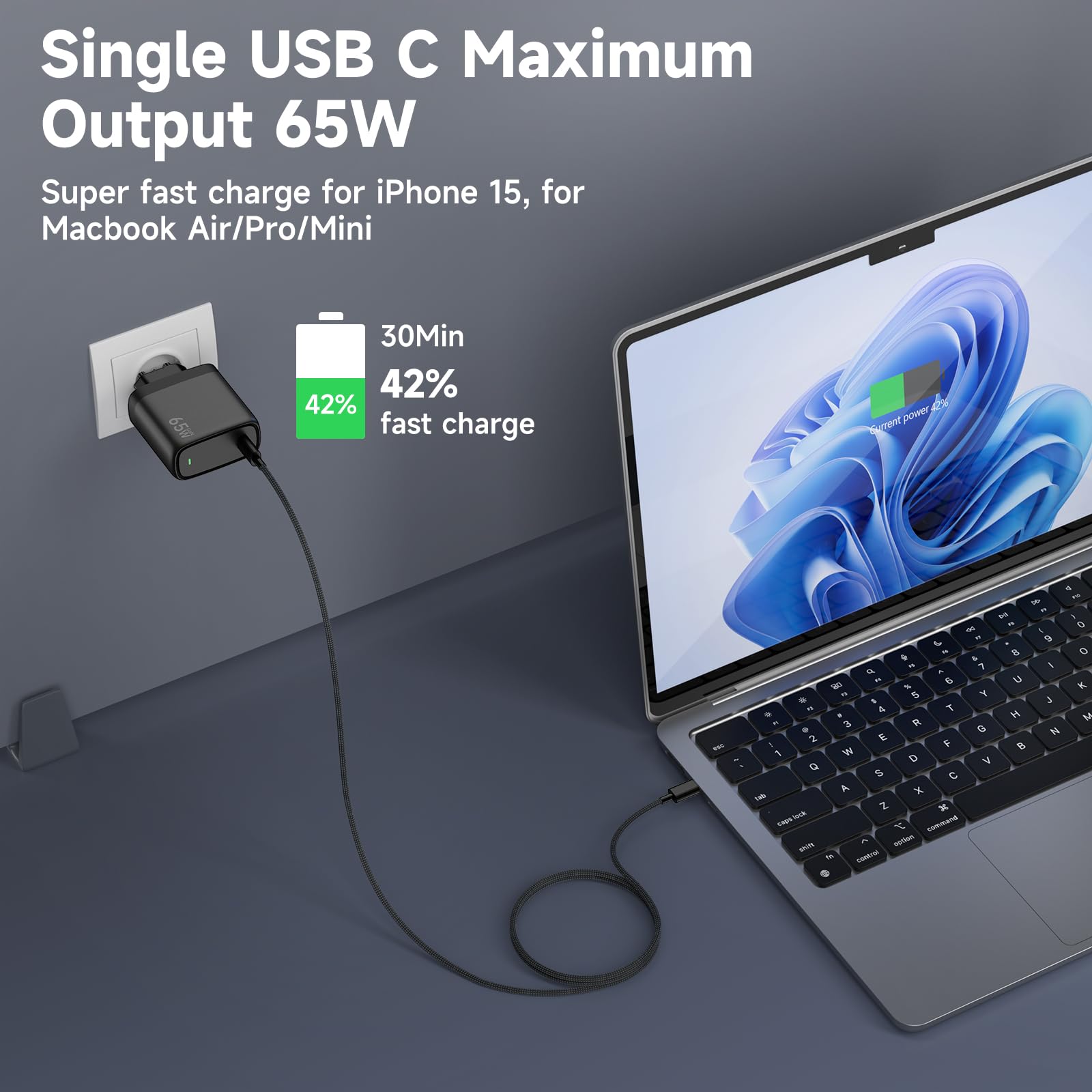 Caricatore USB C 65W con Tecnologia PD3.0 e GaN II Caricatore Rapido USB C PPS con Cavo Tipo C 2m per iPhone 16/15, per Pad Pro/Air, per Galaxy S25/S24/23/S22, per MacBook Pro/Air.ecc