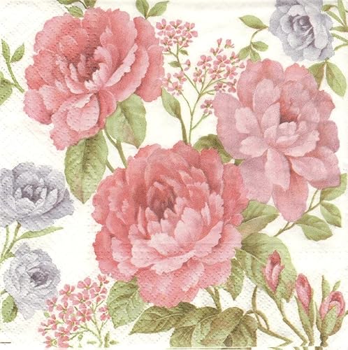 AM Décor - 20 servilletas de papel suave de 3 capas de papel de seda de 13 x 13 pulgadas (desplegadas) Julietta disponible en Yaxa Colombia