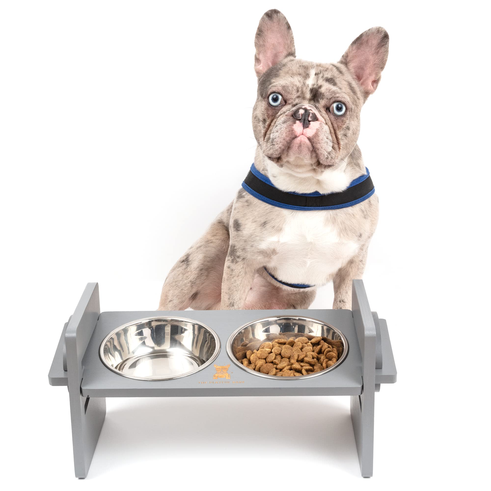 Why Do Puppies Eat Bark