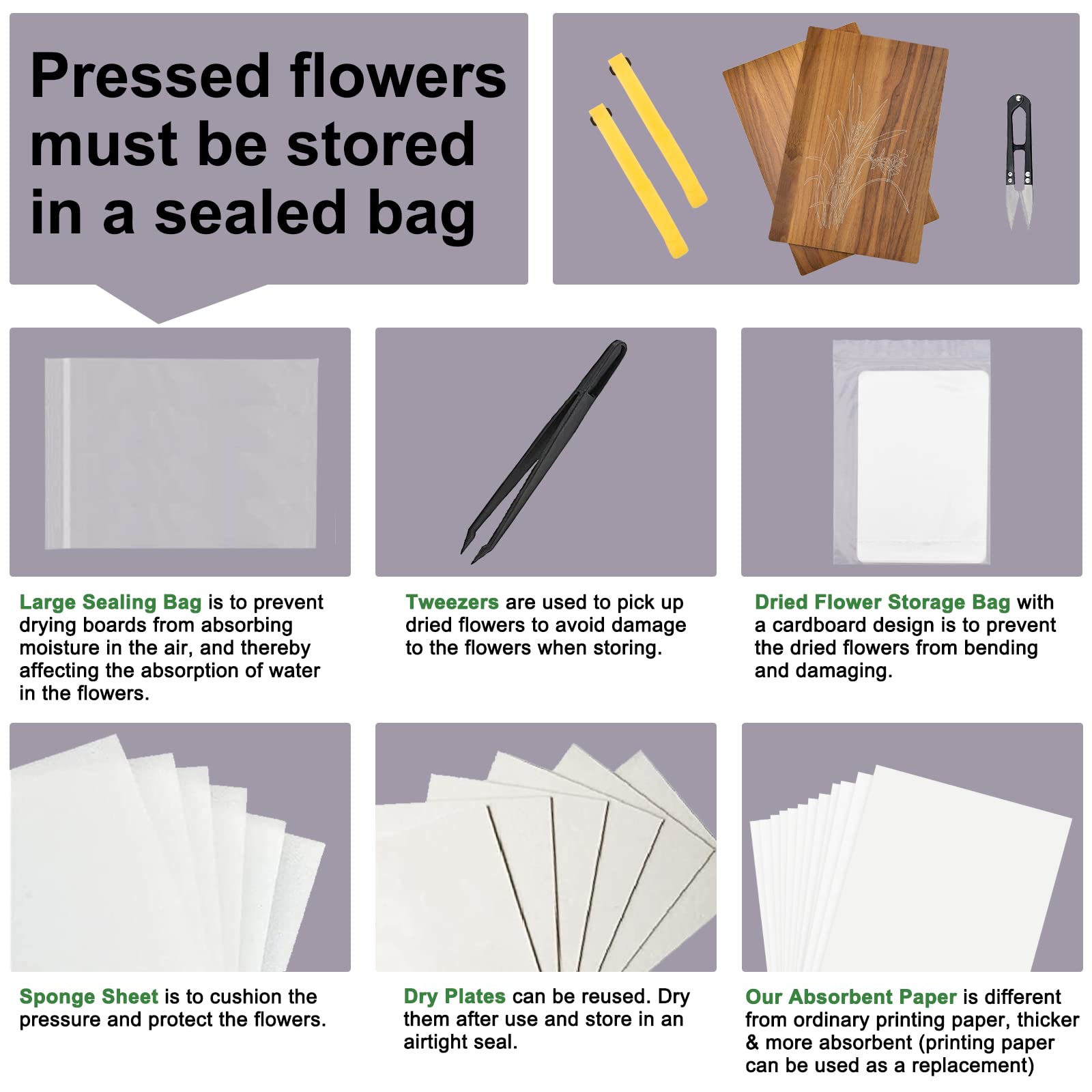 WANDIC Kit de prensa de flores, libro avanzado de prensa de plantas, kit de arte de madera grande para manualidades, especímenes, aprendizaje al aire libre, orquídea