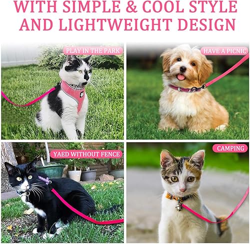 Miniatura 7 de Paquete de 2 correas para perros y gatos con gancho para collar fácil de usar, fuerte y duradero para mascotas pequeñas y medianas, incluye cuenco