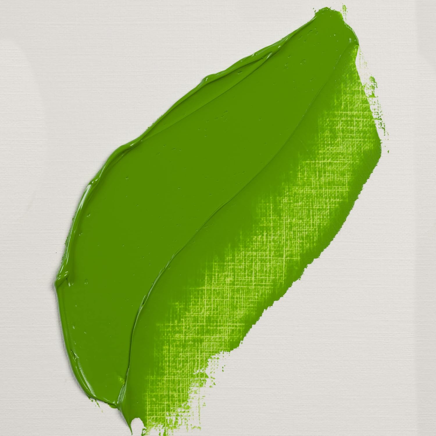 Rembrandt Artist's Oil Colors Permanent Green Light 40 ml 618